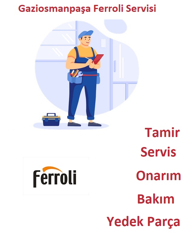 Gaziosmanpaşa Ferroli servisi